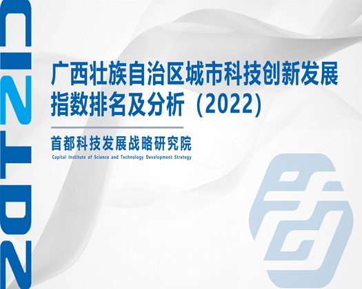 肏美女嫂子小屄【成果发布】广西壮族自治区城市科技创新发展指数排名及分析（2022）